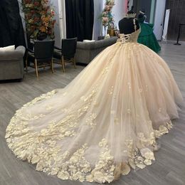 Champagne Shiny Beading Ball Gown Quinceanera Dresses Spaghetti Strap Sleeveless Floral Appliques Lace Corset Vestidos De 15 Anos
