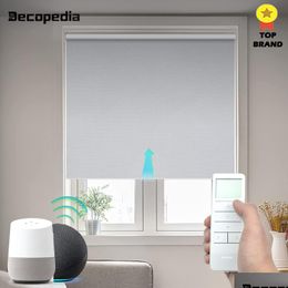 Blinds Decopedia Custom Home Window Roller Shades Motorised For Windows Blackout Day Night Wifi Smart Alexa 230302 Drop Delivery Gar Dh0Td