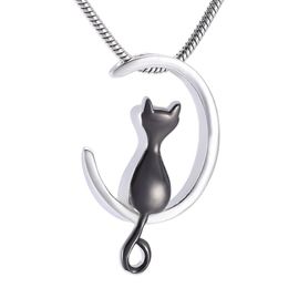 IJD10014 Funnel & Gift Box High Quality Stainless Steel Cremation Jewelry Pet Cat Ashes Holder Keepsake Jewelry301Y