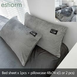 Bedding sets Warm Velvet Flat Sheet Single Double Full Queen King Size Bed Sheet with Pillowcase Flannel Bed Sheet Set Plush Sheet for Bed 231129