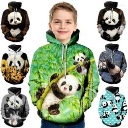 Men's Hoodies Cute Animal Panda 3D Print Children Boys Girls Autumn Winter Fashion Hooded Sweatshirt Daily Casual Long Sleeve