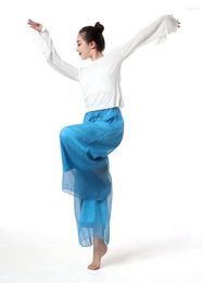 Stage Wear Latin Dance Wide Leg Pants Lady Ballroom Tango Trousers Cha Salsa Rumba Modern Costumes Flowy Chiffon Outer Layer