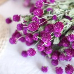 Decorative Flowers 20pcs Purple Natural Flower Bouquets Dried Gomphrena Christmas Decor Bunch NO VASE