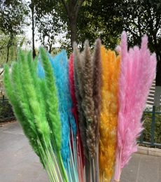 Decorative Flowers Wreaths Dekoration Natural Dried Pampas Grass Phragmites Artificial Plants Small Reed Flower Bunch For Home D4960034