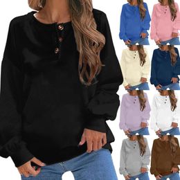 Women's Hoodies Fashion Casual Warm Sweatshirt Long Sleeve O Neck Soft Printed Shirt Tops For Women Lace Top