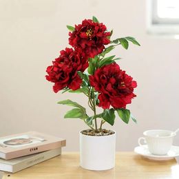 Decorative Flowers Peony Flower Artificial Small Bonsai Creative Home Furnishings Simulated Decorations Potted Plants