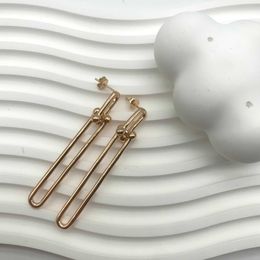 Designer Brand 925 All Body Sterling Silver Fashion U-shaped Gold Earrings Long Simple and Premium 2NRN