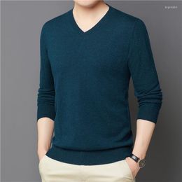 Men's Sweaters Men's Real Wool Knit Tees Autumn & Winter V-Neck Cashmere Sweater Tops Male Long Sleeve Solid Colour Knitwear Pullover