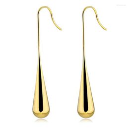 Dangle Earrings Long Water Drop Earring Women Girls Gold Silver Plating Fashion Jewelry Accessories Party Gift 2023 Style HE23341