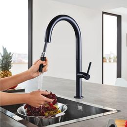 Kitchen Faucets Water Faucet Black Mixer Pull Out Brass Washing Extendable Nozzle Gourmet Matte Down