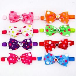 Dog Collars Fashion Pet Neck Circle Buckle Design Polka Dot Pattern Cat Bowknot Collar Soft Adjustable Accessories