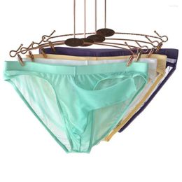 Underpants Low Rise Men 3D Elephant Nose Solid Color Briefs Quick Drying Soft Sexy Transparent Net Yarn Panties Inner Wear