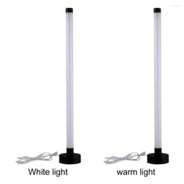 Floor Lamps Acrylic Lamp Adjustable Lighting Fixture Decorative Floorlamp Living Room Standing Plug