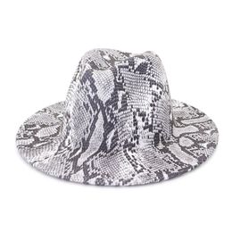 Snake print Jazz cowboy hat for women men autumn winter fashion wool Wide Brim Cap unisex bowler fedora hats