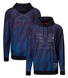 Official version of the 2023 team racing special edition hoodie unisex driver's uniform Formula One racing sweater coat