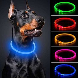 Dog Collars Leashes Usb Charge Luminous Dog Collar Led Night Glowing Battery Dog Loss Prevention Puppy Accessories Supplies Articles For Pets 230428