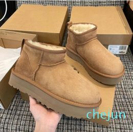 Women Boot Tasman Bailey Dune Chestnut Winter windtight Short Lady Sheepskin And Wool Hair