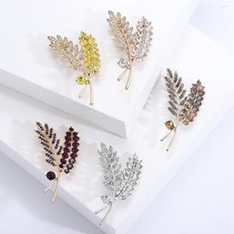 Brooches Trendy Tree Leaf Brooch For Women Men Exquisite Leaves Female Collar Needle Party Jewellery Accessories Gifts