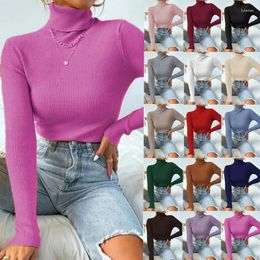 Women's Sweaters Knit Sweater Solid Turtleneck Pullover Casual Ribbed Basic Women Slim High Quality Top Autumn Winter Female Clothes