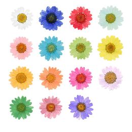 Decorative Flowers & Wreaths 2-3cm Daisy Pressed Dried Flower For Resin Pendant Necklace Jewelry Making Craft DIY Nail Art Scrapbook 50pcs/P