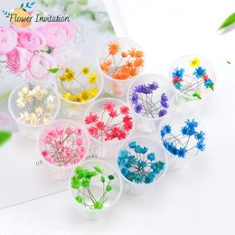 Decorative Flowers & Wreaths Pcs / Box Natural Dried Flower Dry Plants For Candle Epoxy Resin Pendant Necklace Jewellery Making Craft DIY Deco