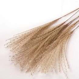 Decorative Flowers 100 Pieces Rustic Dried Pampas Grass Floral Arrangements For Festival Table Decor