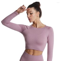 Women's T Shirts Ladies' Home Two-piece Clothing Quick-drying Sports Tights Yoga Long Sleeves Threaded Women Solid Colour Cropped Soft