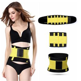 Waist Support Beam Gym Squat Strength Training Trimmer Belt Sweat Utility For Sport Fitness Weightlifting Wholesale