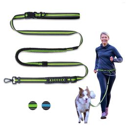 Dog Collars Reflective Traction Belt With Adjustable Waist For Running Explosion-proof Flush Walking Rope Pet Leashes