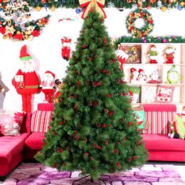 Christmas Decorations Year Preferred 3 M / 300cm Large Tree Factory Outlets Echinacea Mixed Pine Needles Items