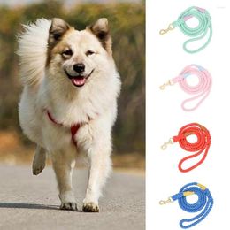 Dog Collars Leash Bite Resistant Traction Rope Pet Training Slip Lead Strap Solid Color Woven Dogs Webbing Recall