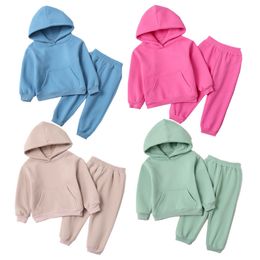 Clothing Sets spring Autumn kids Girls Clothes baby 2pcs Winter Children's Pulloverpants For Boys Cotton Tops With Hooded Suits 230202