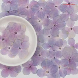 Decorative Flowers 60 Pcs/Set Natural Pink Purple Hydrangea DIY Dried UV Expoxy Resin Mould Filling Flower Nail Art Pressed Makeup