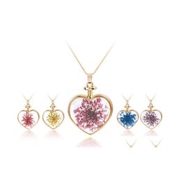 Pendant Necklaces Chain Necklace Transparent Crystal Glass Round Floating Locket Dried Flower Sier Drop Delivery Jewellery Pendants Dheag