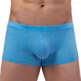 Underpants Men's Underwear Cueca Fashion Mesh Hollow Boxer Shorts Man Boxers Comfortable Male Breathable U Pouch Panties Homme