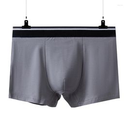 Underpants Cotton Men's Underwear Boxer Briefs Mid Waist Solid Color Breathable Sexy Comfortable Plus Size Shorts