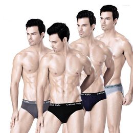 Underpants 4 Pcs/Lot Plus Size Mens Briefs Sexy Men Underwear Bikini Bamboo Gay Slip Hombre Cuecas