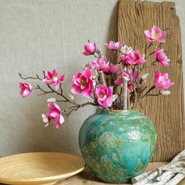 Decorative Flowers Yulan Magnolia Floriculture Lifelike Simulation Of Phalaenopsis