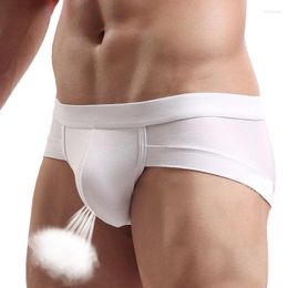 Underpants Men's Underwear Briefs Modal Low Waist Sexy U Convex Sac Bag White Small Boxer