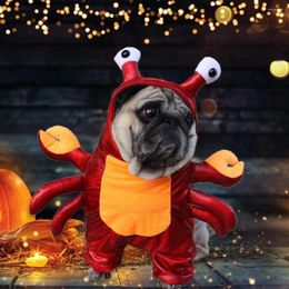 Dog Apparel Pretty Pet Transformation Outfit Cloth Fastener Tape Keep Warm Halloween Transform Clothes