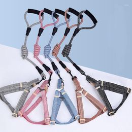 Dog Collars Classic Anti-stroke Small Harness Leash Suit Arnes Perro Pearl Puppy Chain Medium Cats Pet Accessories Necklaces Pendants