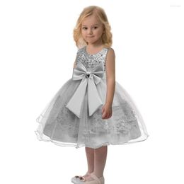 Girl Dresses Pageant Gown Tulle Kids Party Dress Lace Formal Ball Gowns Children Height 110CM - 150CM Silver Flower For Weddings