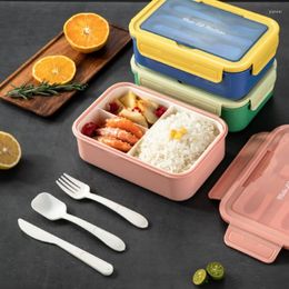 Dinnerware Sets 1400Ml Bento Box For Kids Adults Reusable Lunch Storage Container 3 Compartments And Spoon & Fork Portable