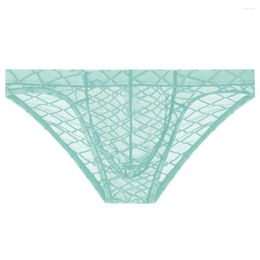 Underpants Sexy Men Nylon Briefs Convex Pouch Cool Low Waist Soft Underwear Men's Erotic Lingerie Bikini Transparent Panties