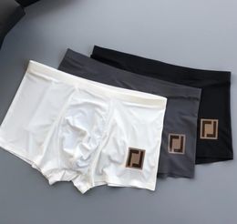 Mens Underwear Luxury fashion luxury Ultra-thin silk panties V Designer Sexy Boxer Men Underpants Cueca Ropa Interior Vintage Shorts Briefs Drawers Kecks Thong TXTQ