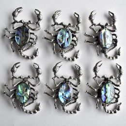 Pendant Necklaces 2023 Fashion Natural Abalone Shell Animal Scorpion Shape Necklace Brooch For Jewelry Making 6pcs/lot Wholesale