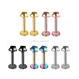 Labret Lip Piercing Jewellery Wholesale Labret Chin Ring Nose Ear Bar Stud Stainless Steel Fashion Body Drop Delivery Dhyql