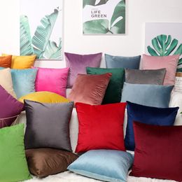 Pillow 24 Colours Velvet Throw Case Soft Comfortable Covers For Home Sofa Chair Decorative Pillowcases