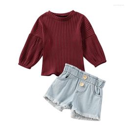 Clothing Sets Toddler Kids Sweater Set Winter Autumn Long Sleeve Puff Crew Neck Ribbed Knit Top Elastic Waist Shorts Girls Outfits 2PCS