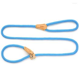 Dog Collars Pet Cat Leash Collar Integrated Round Rope Rustless Buckle Traction Dogs Leather For Small And Medium Pets